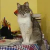 Отзыв от Диана Коновалова